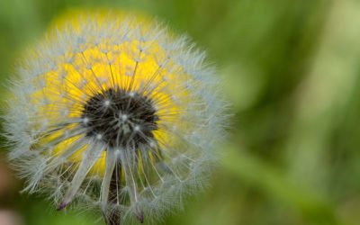 Ablauf eines Coachings?!